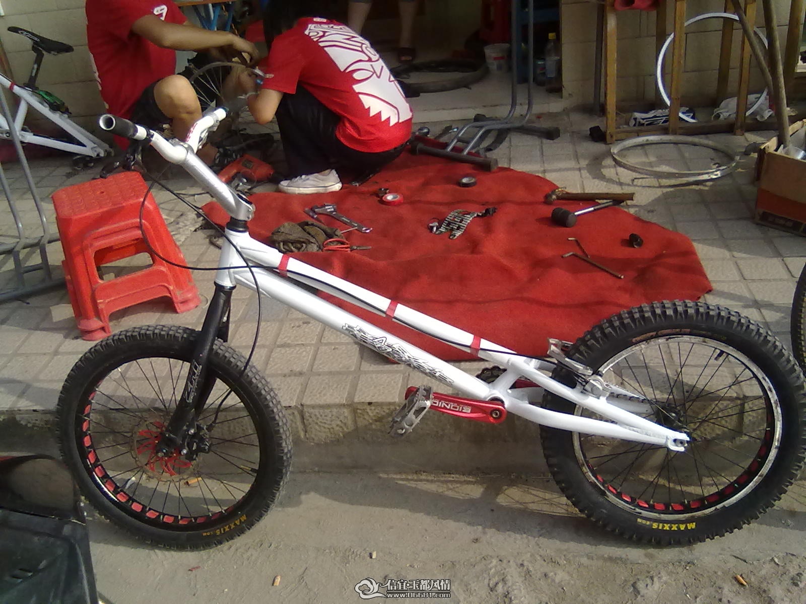 20110527241.jpg