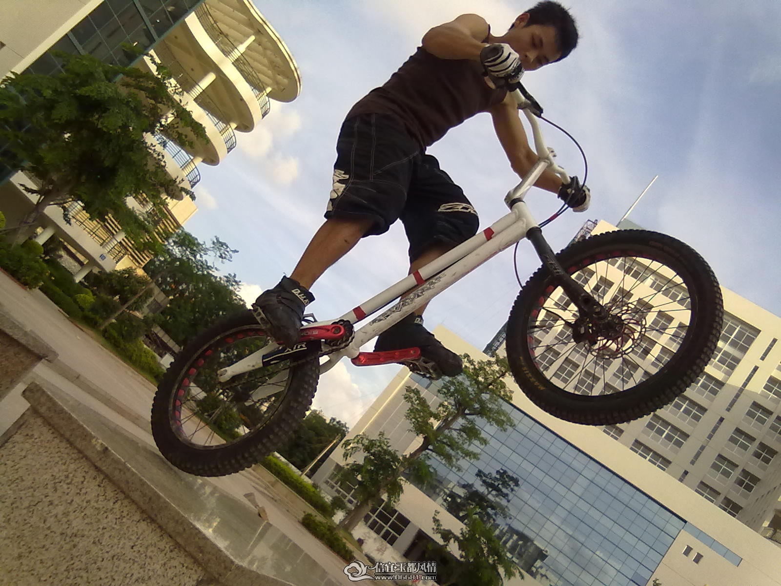 20110613328.jpg