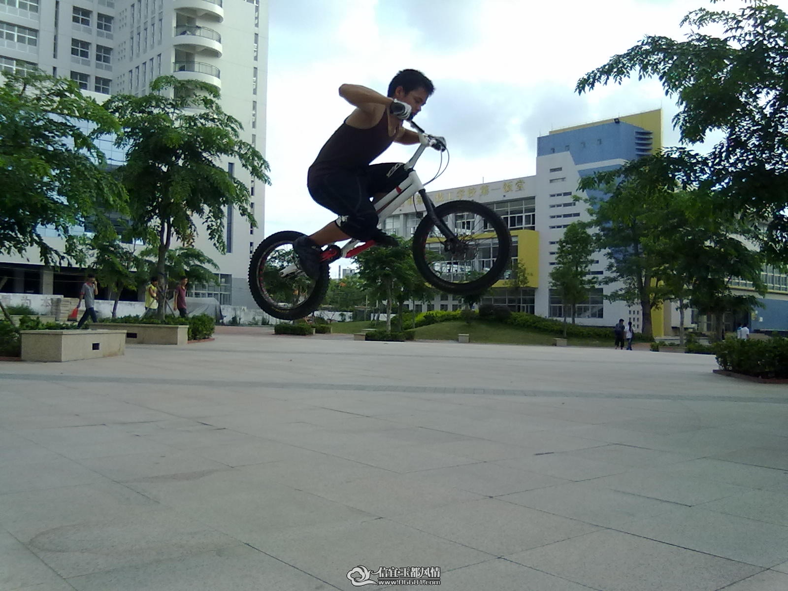 20110613337.jpg