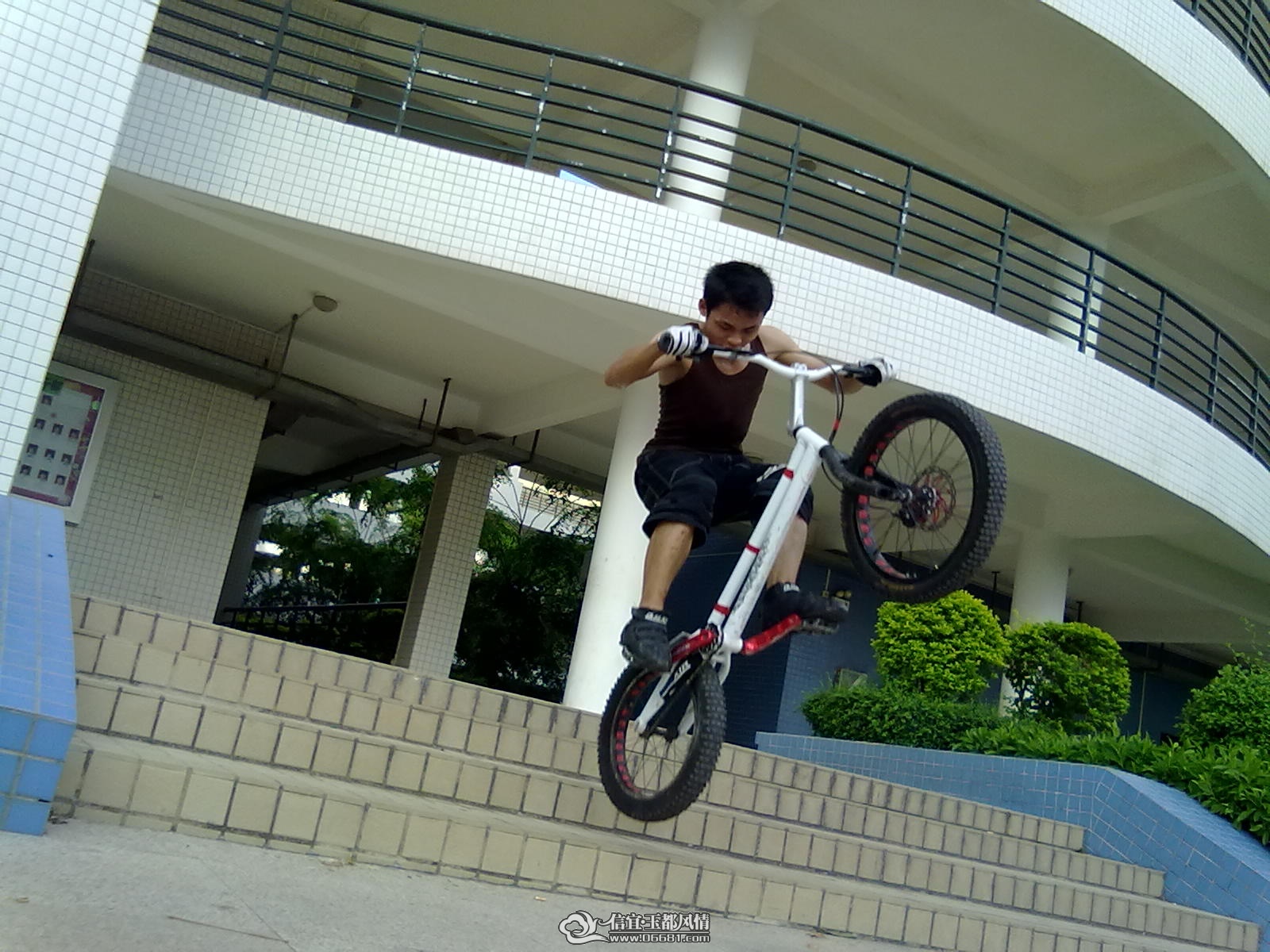 20110613339.jpg