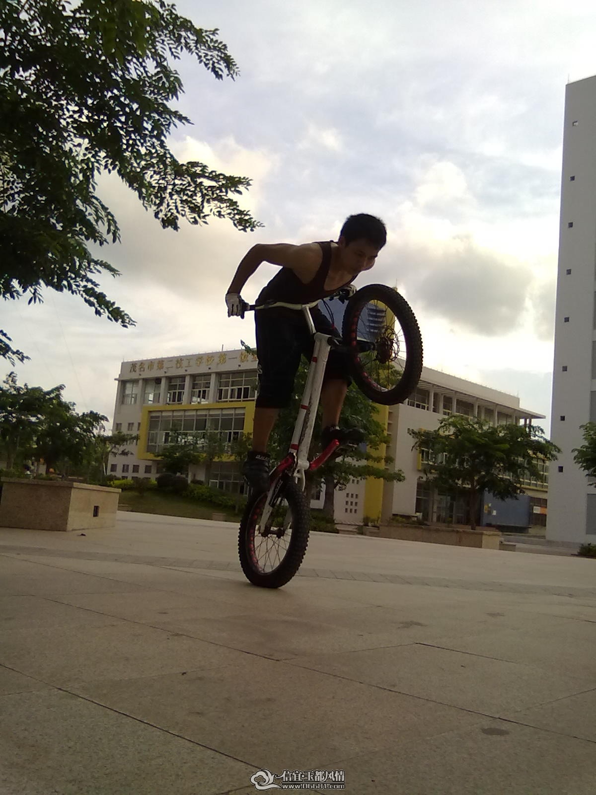 20110613341.jpg