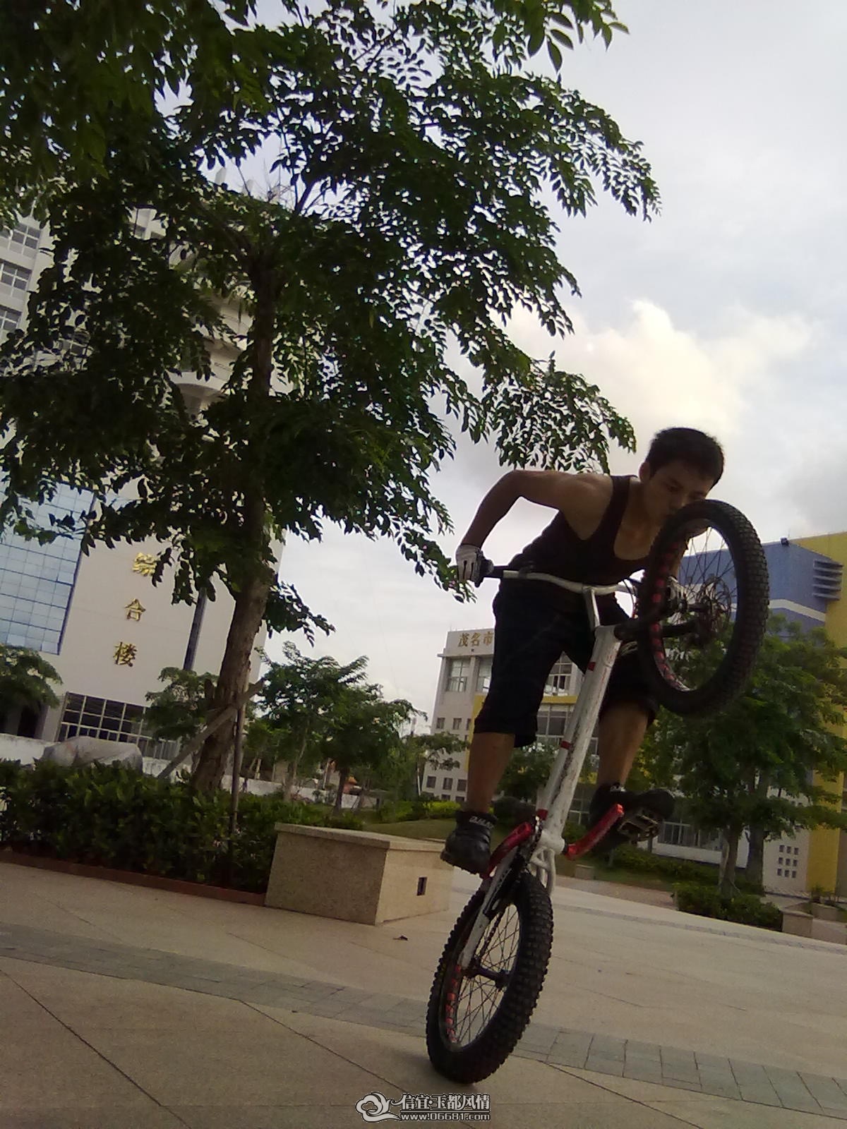 20110613342.jpg