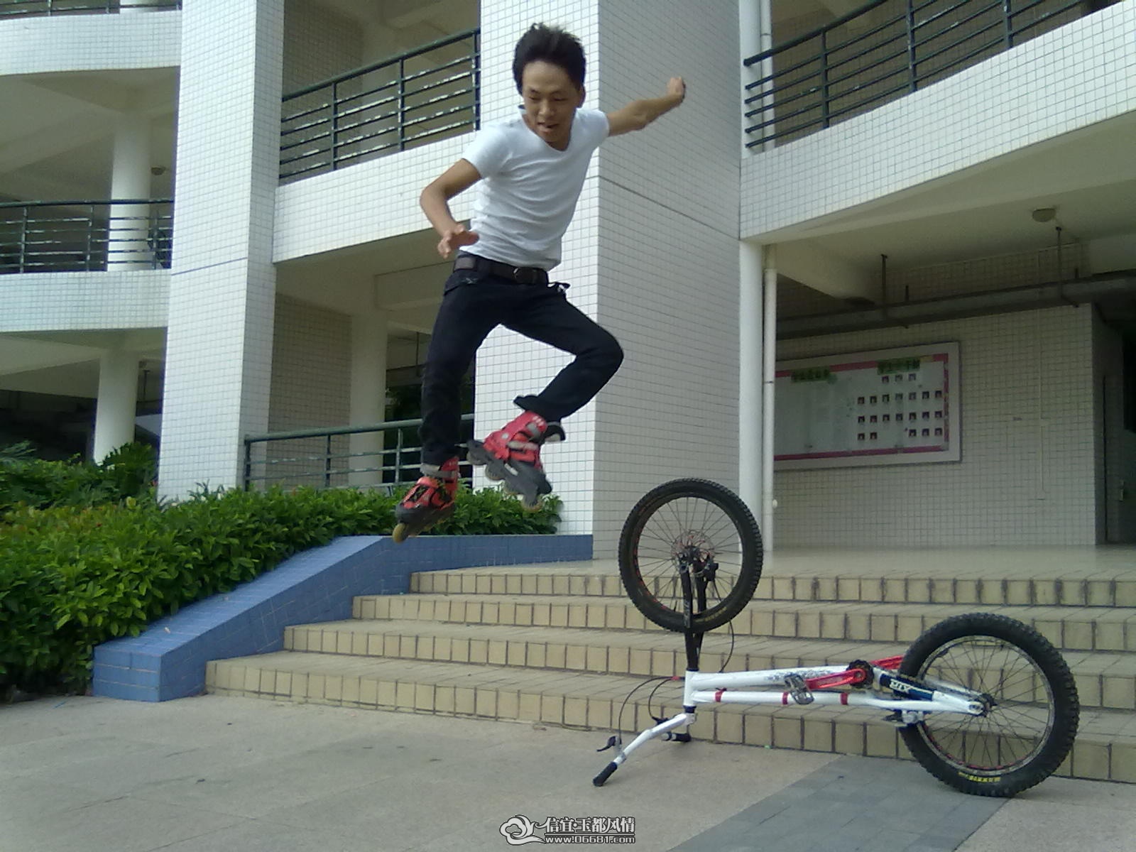 20110613343.jpg
