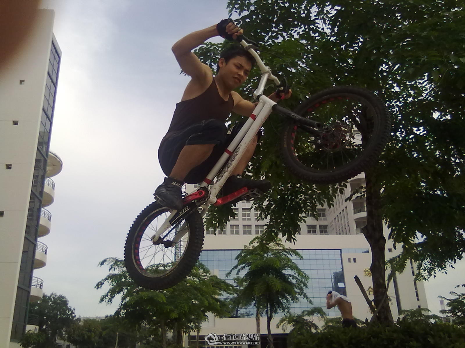 20110616364.jpg