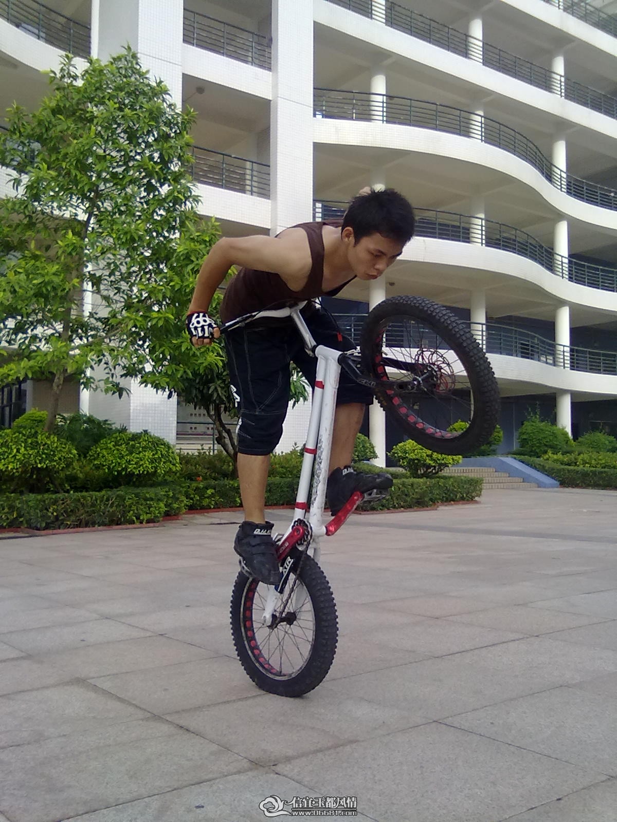 20110616368.jpg