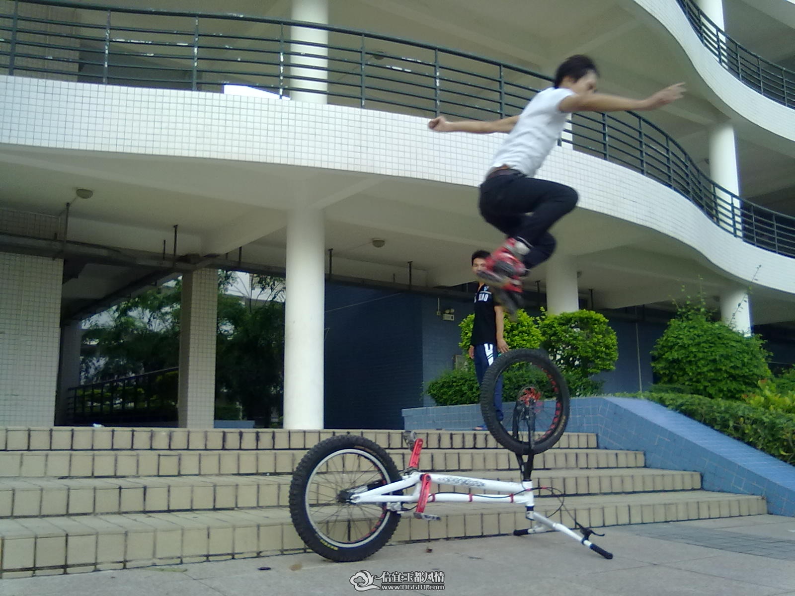 20110616369.jpg