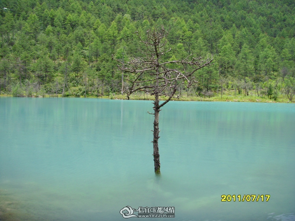 SNV30650.JPG