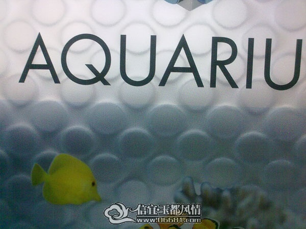 201107182402.jpg