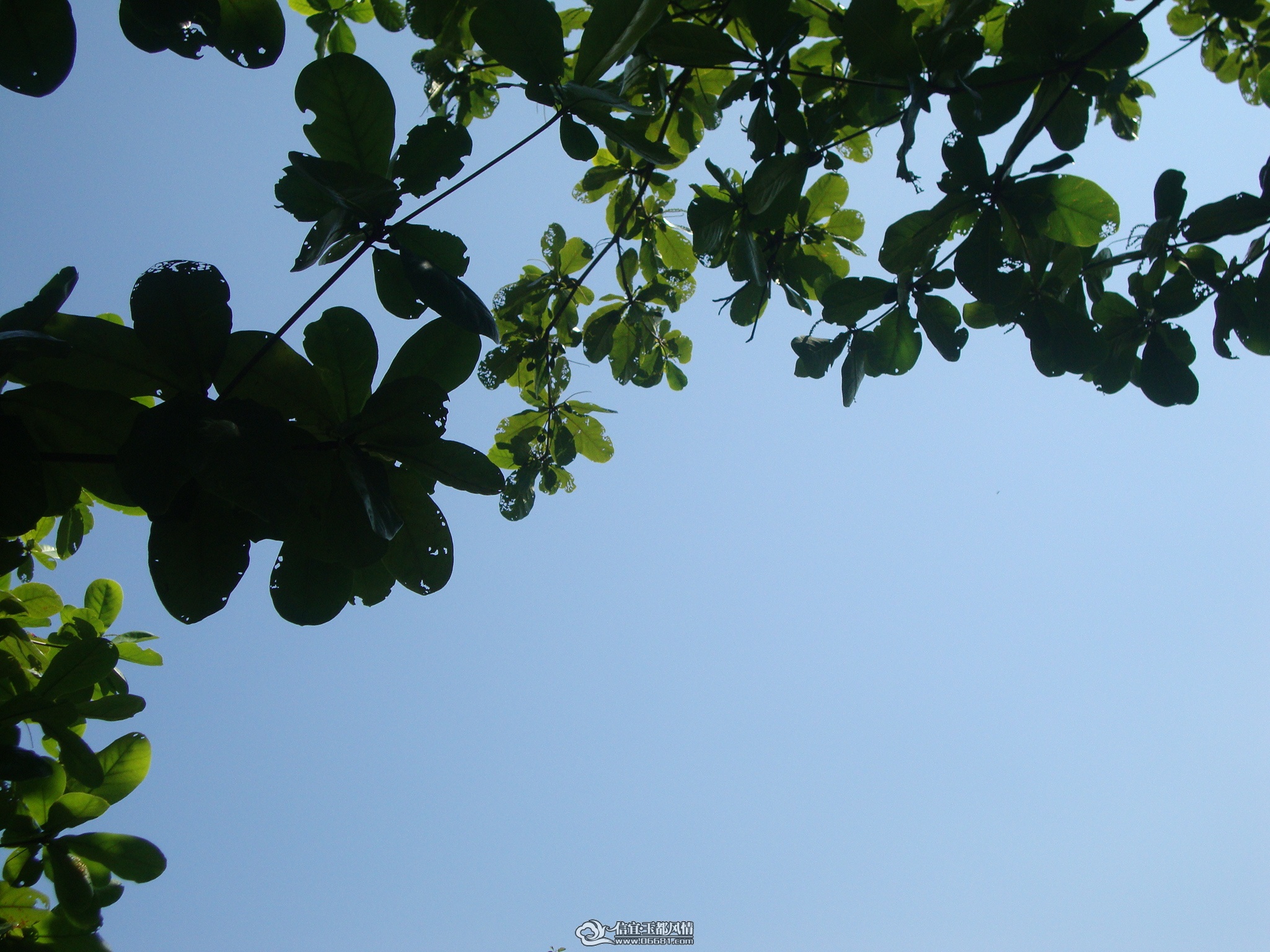 DSC01442.JPG