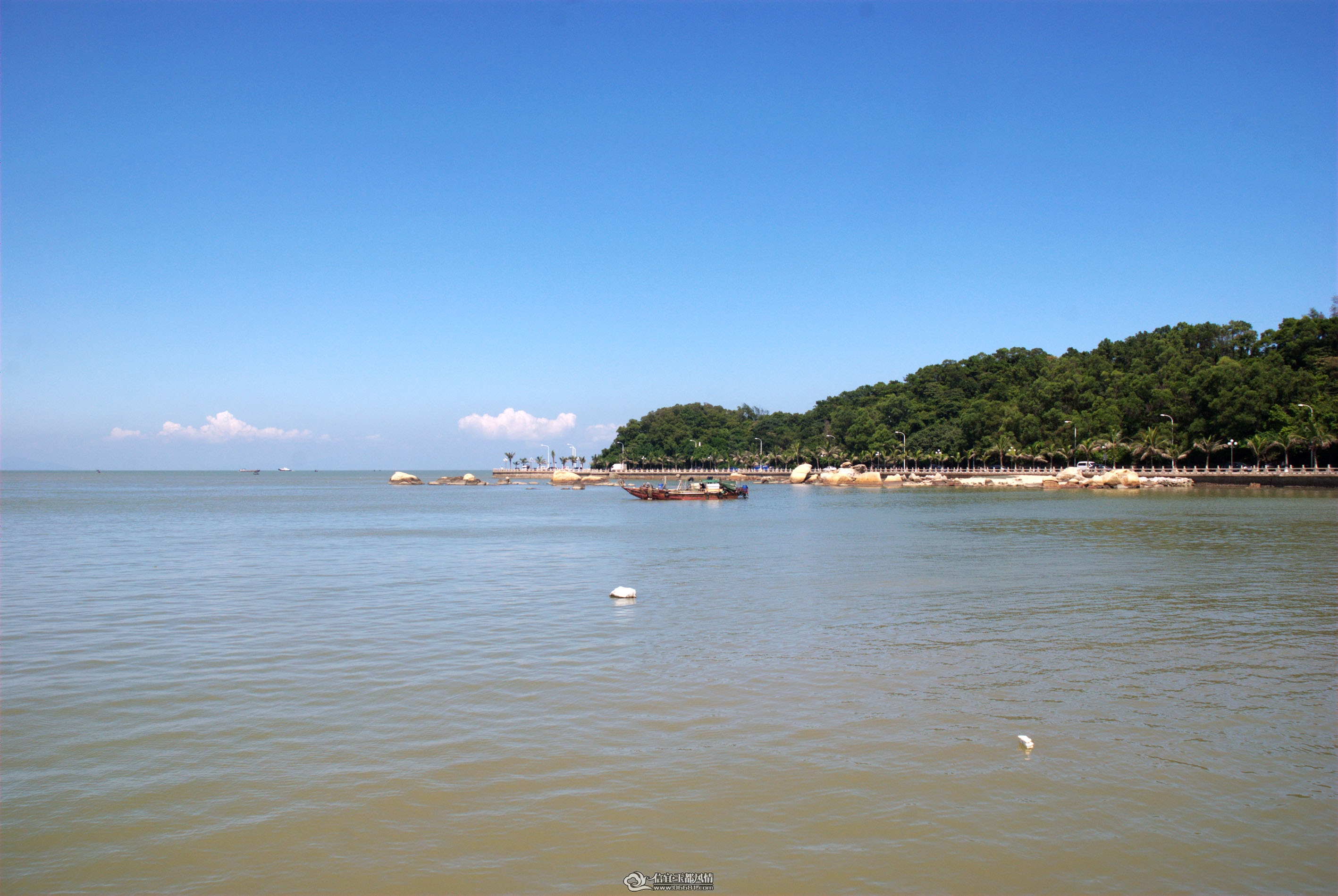DSC_0109.jpg