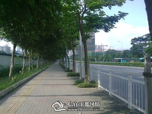 201107232405.jpg