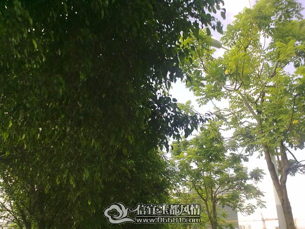 201107232412.jpg