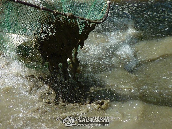 P1090108.JPG