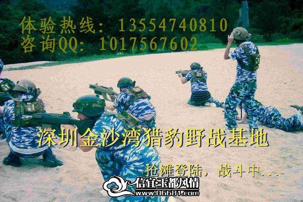 145251d32wn3fnn2dp_jpg_thumb.JPG