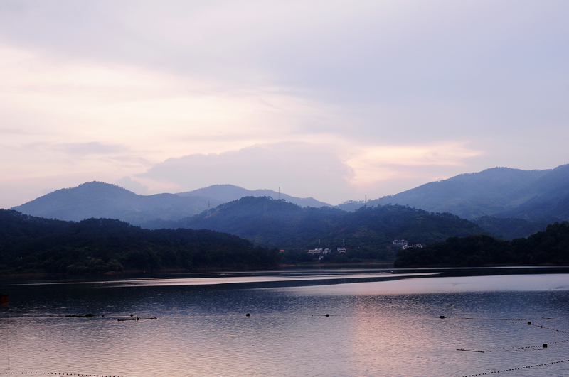 DSC_11270.jpg