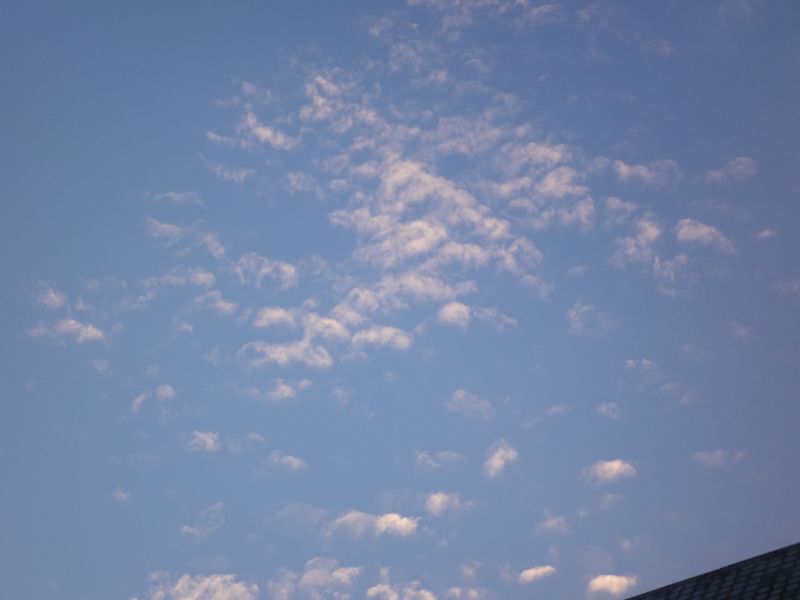 DSCF0333.jpg