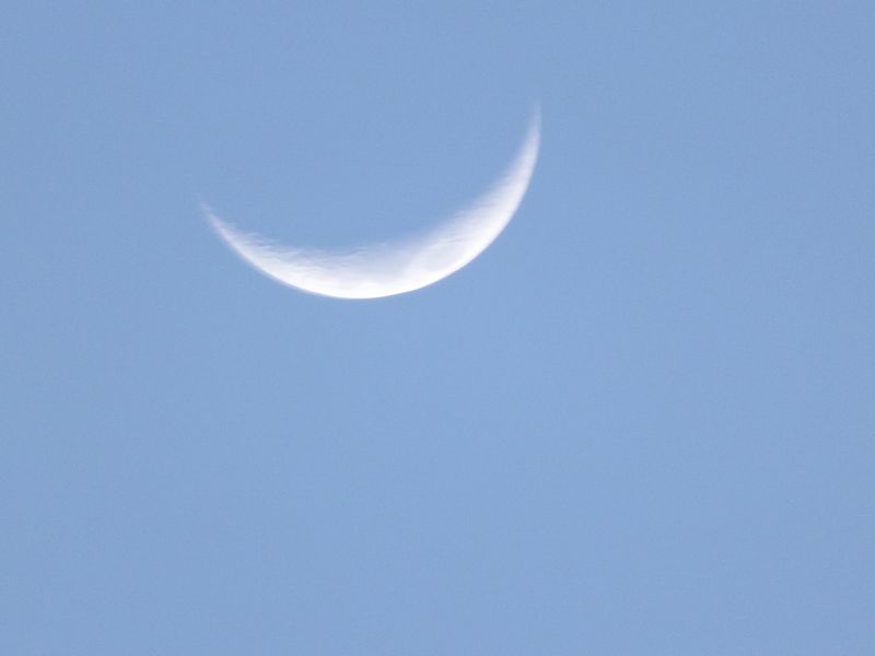 DSCF0335.jpg