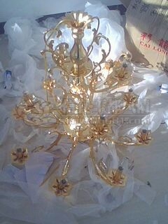 IMG0079A.jpg