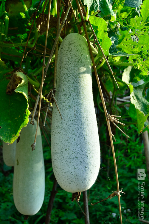 DSC_4834.jpg