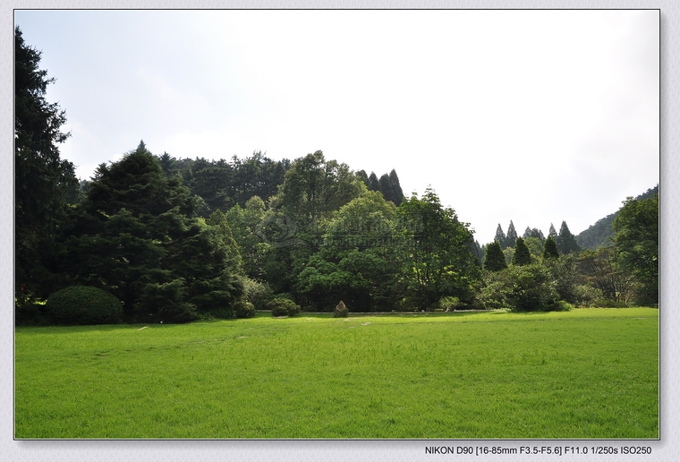DSC_0229.jpg