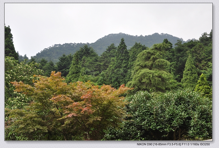 DSC_0232.jpg