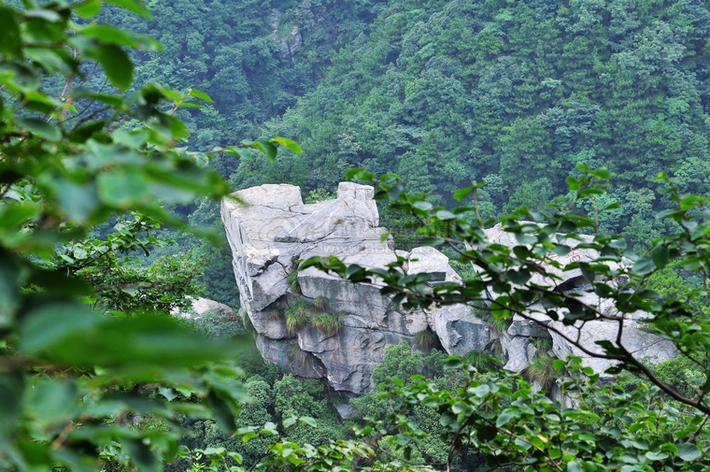 DSC_0139.jpg