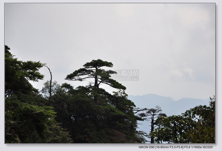 DSC_0289.jpg