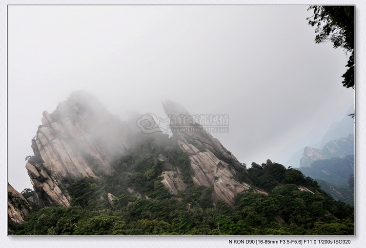 DSC_0338.jpg