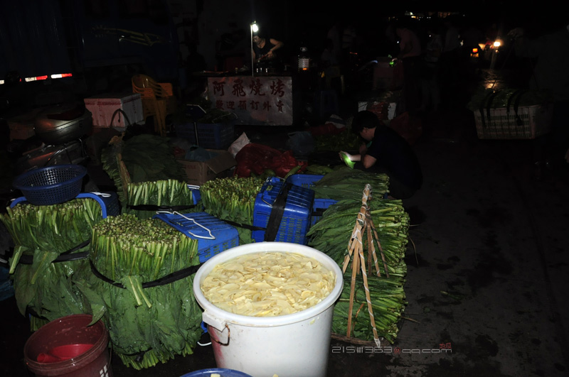 DSC_3818.JPG