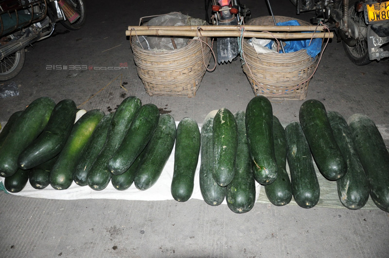 DSC_3837.JPG