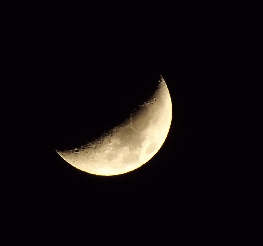 DSCF0343.jpg