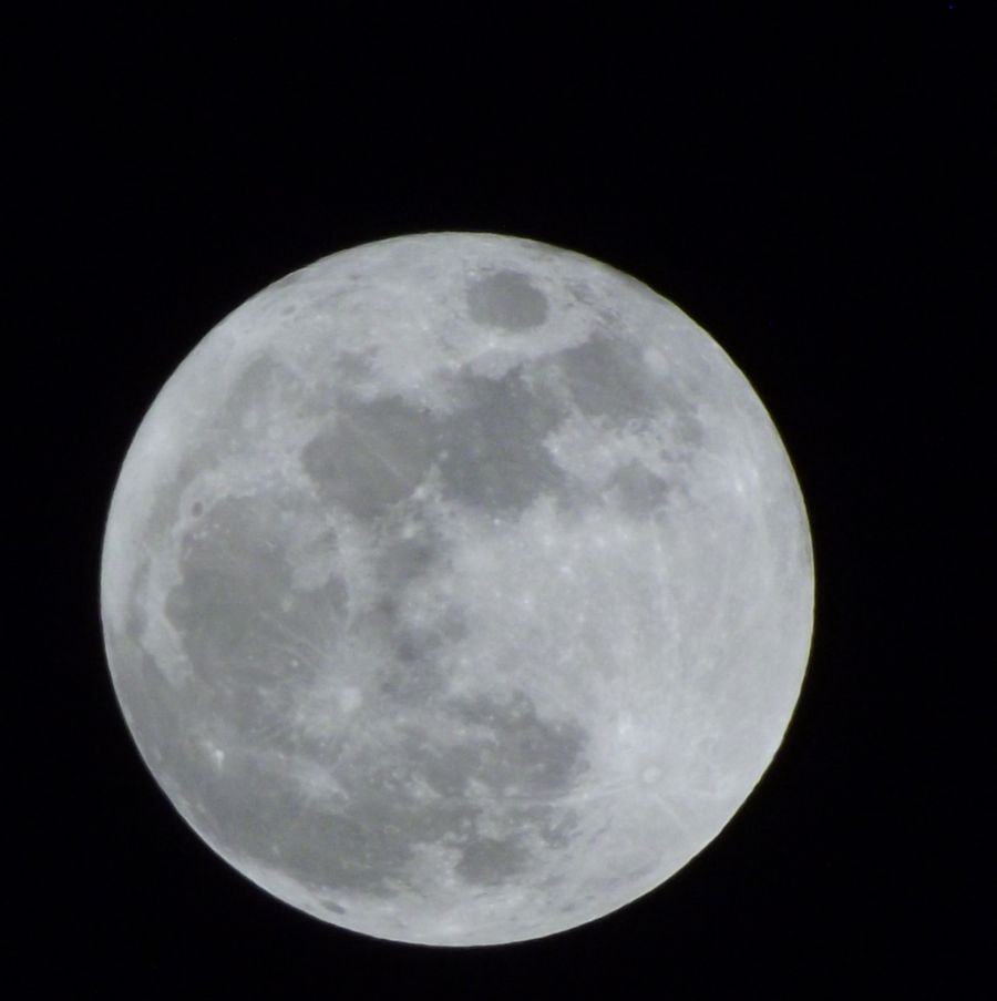 DSCF0517.jpg