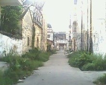 IMG0389A.jpg