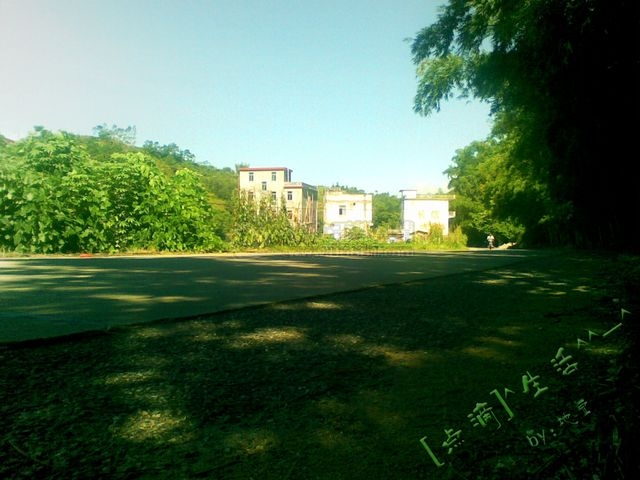 20110817_015.jpg