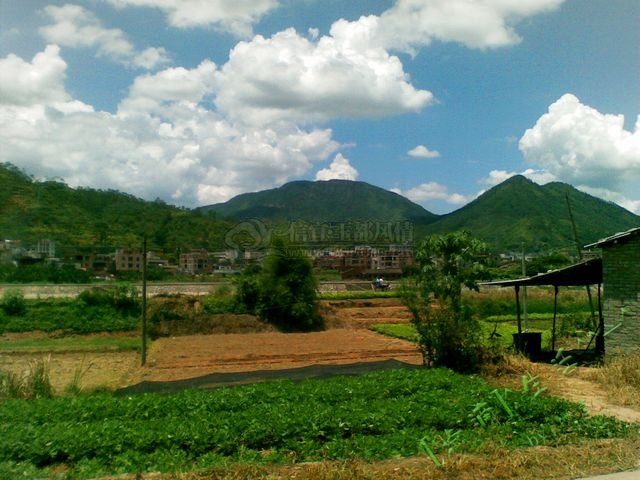 20110820_001.jpg