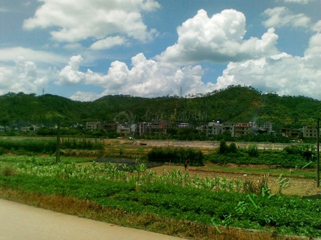 20110820_002.jpg