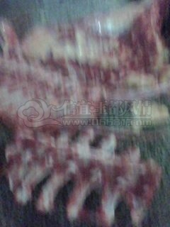 IMG0098A.jpg