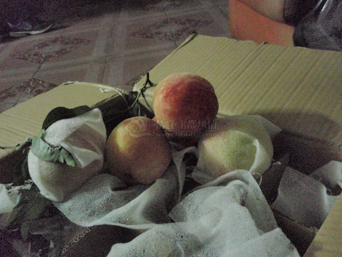 P8230309.JPG
