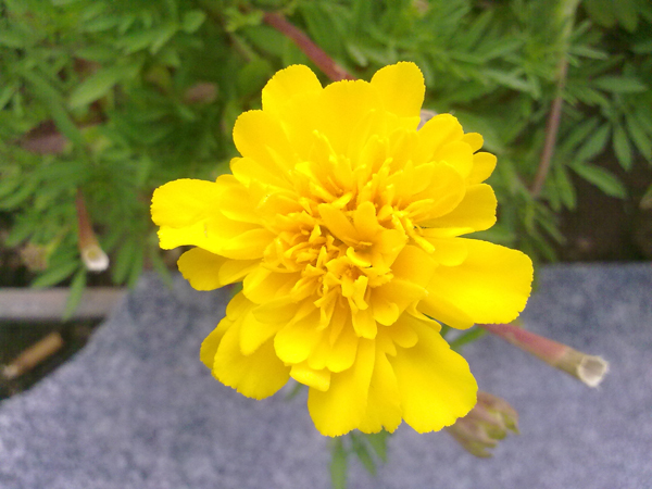 201108202481.jpg