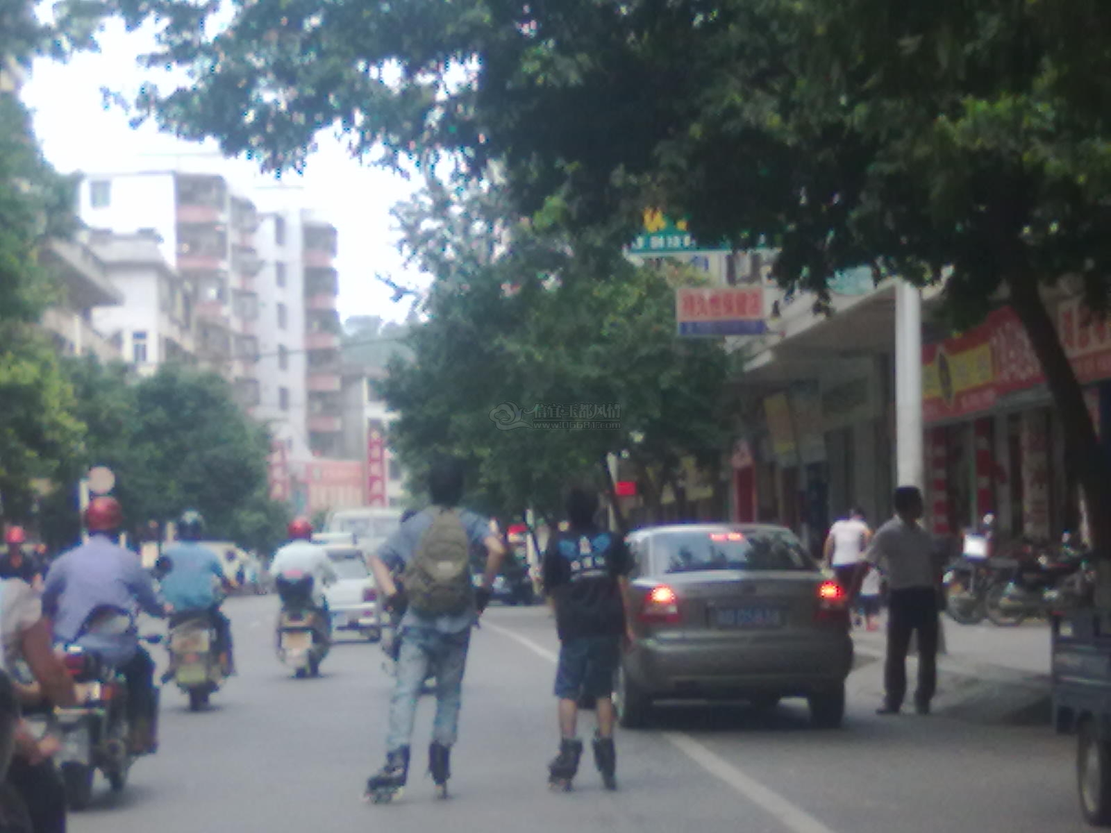 20110825089.jpg