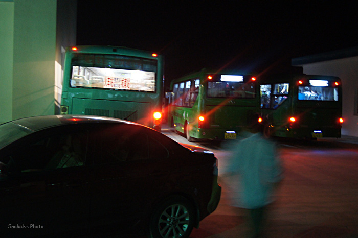 DSC09933.JPG