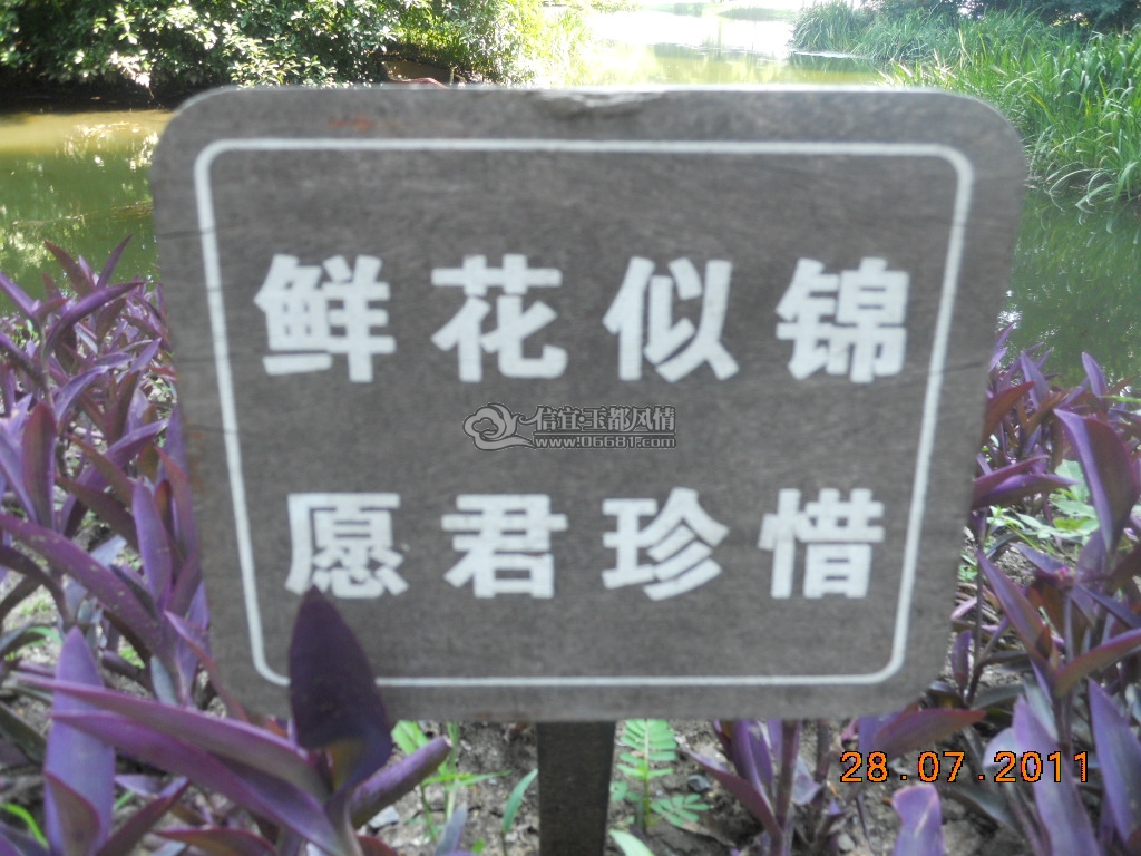 DSCN0755.JPG