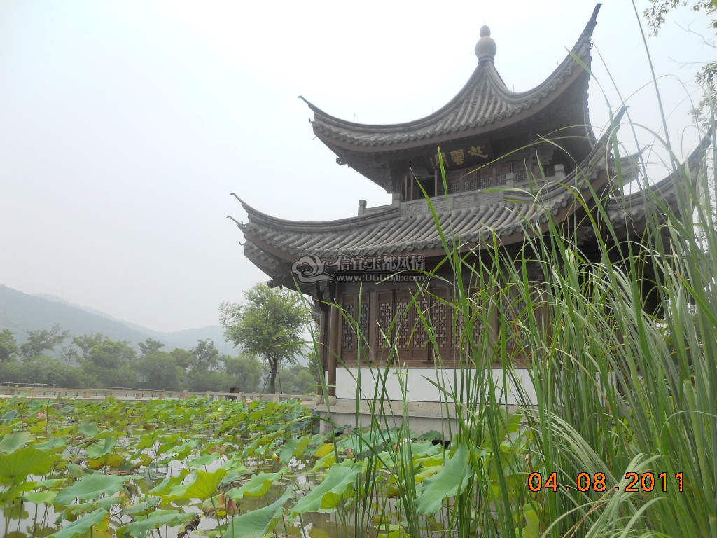 DSCN0768.JPG