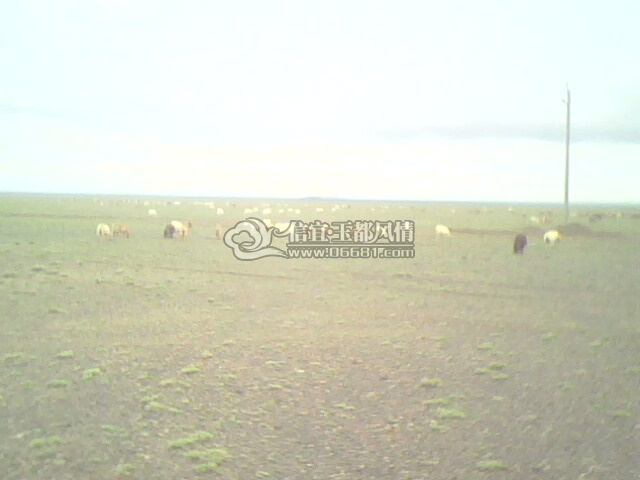 �ö�ϲ������ֻ���������㻰�����ã������˴��廰�߰ٿ�ม�