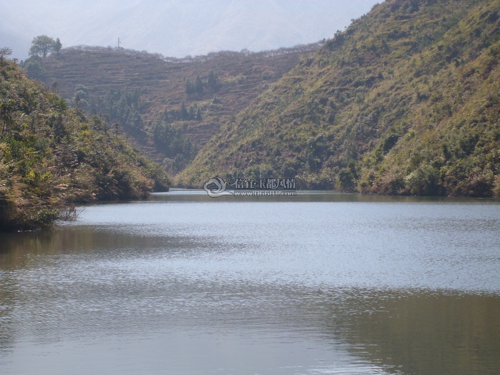 SL270813.JPG