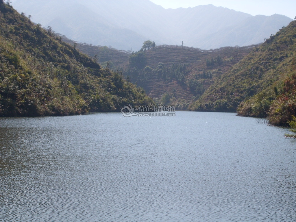 SL270791.JPG