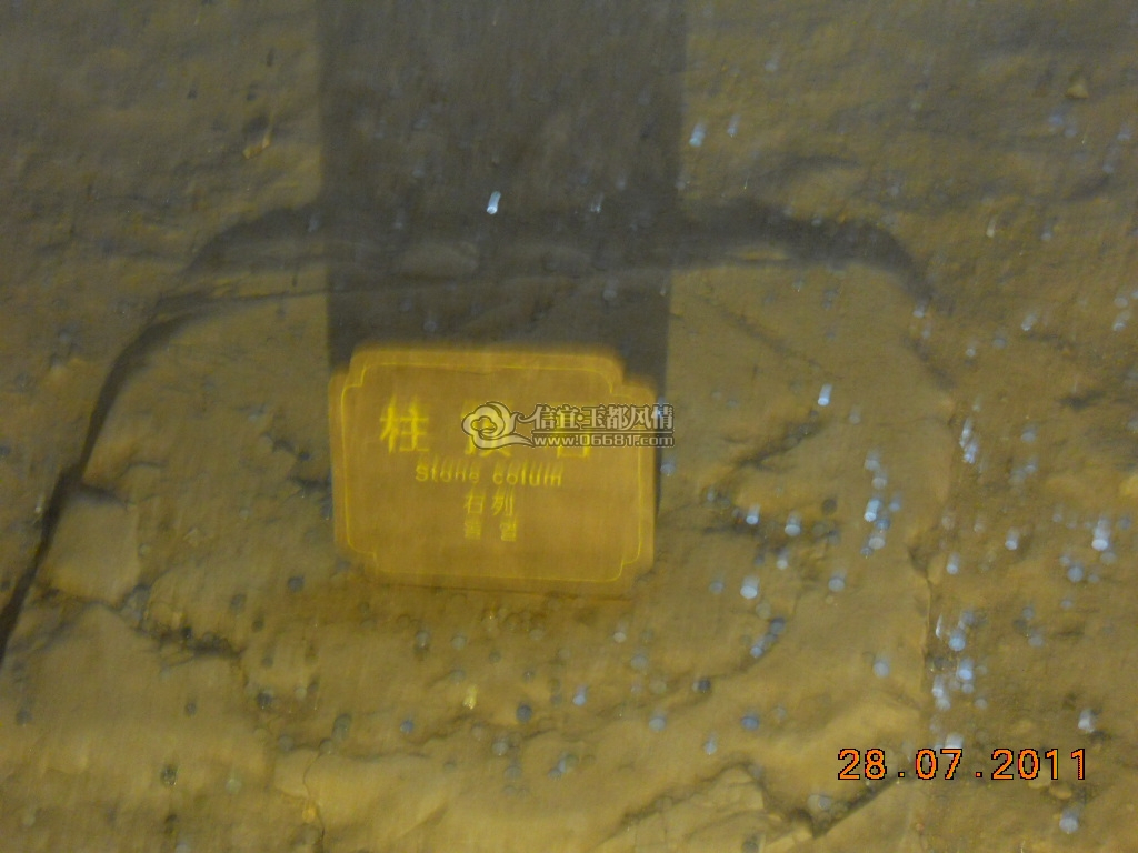 DSCN0739.JPG