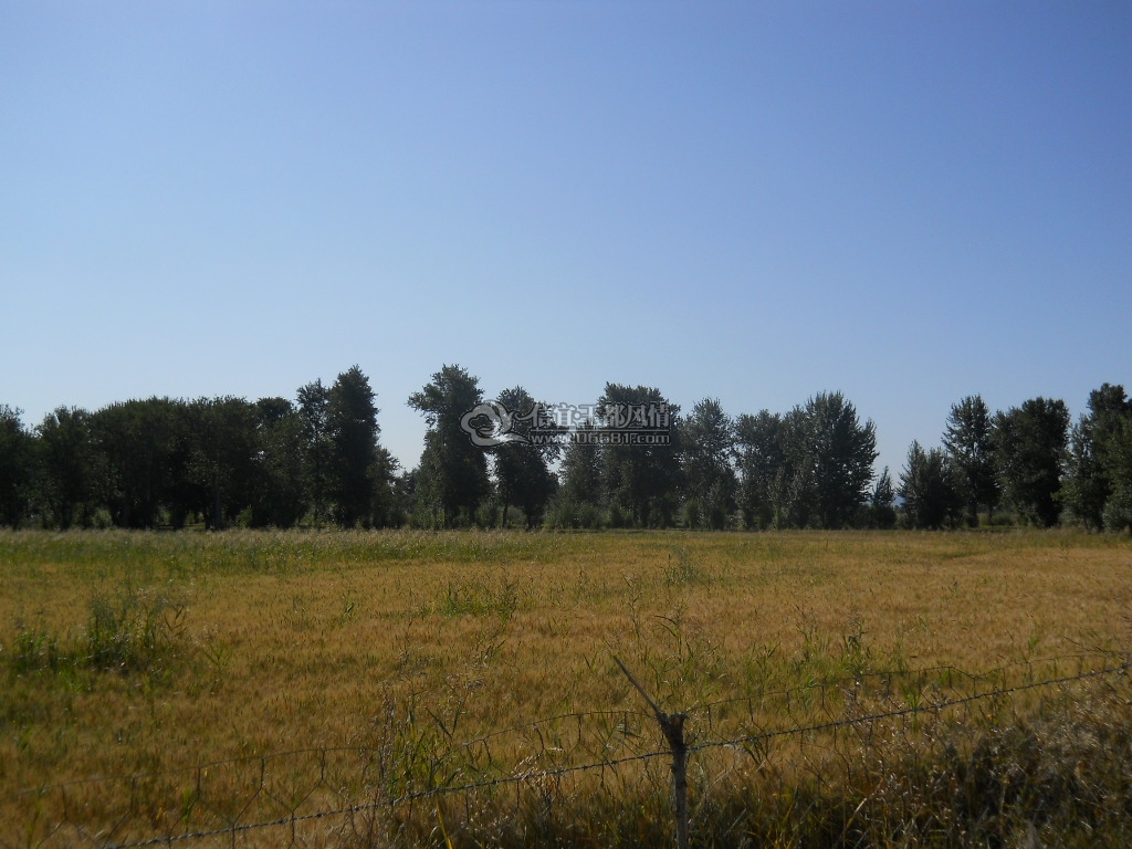 DSCN0574.JPG