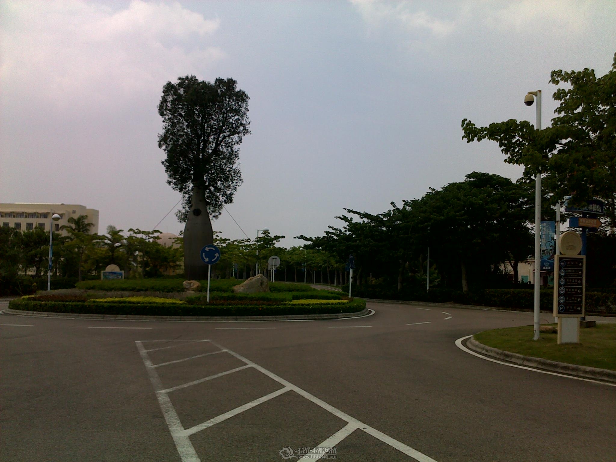 20110910334.jpg