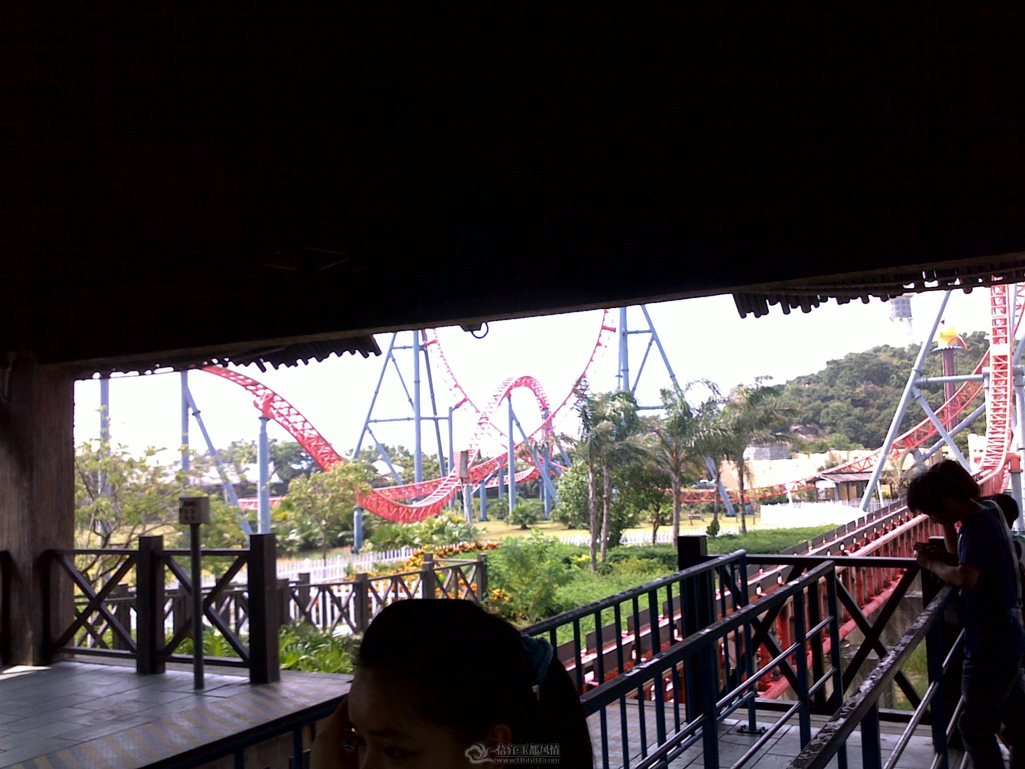 20110910273.jpg